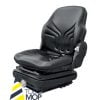 ASIENTO MAXIMO MS BASIC GRAMMER