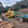 Pala cargadora de cadenas CATERPILLAR 955 L, con Ripper (5 Und).