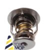 TERMOSTATO YANMAR B15 - 3