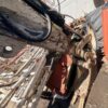 Miniexcavadora BOBCAT 425 C, Año 2007, Horas: 1804 H, equipada con cazo de 40 y 60, Enganche. Con CE. miniexcavadora compacta clásica.
